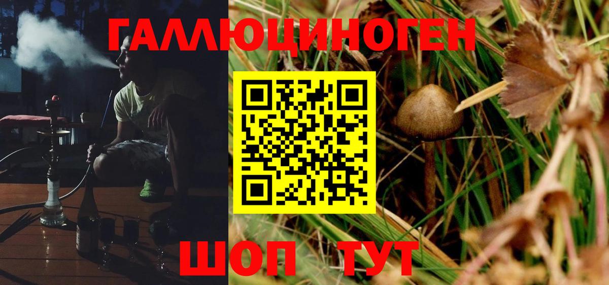 Псилоцибиновые грибы Cubensis  Вход с VPN  Ижевск 